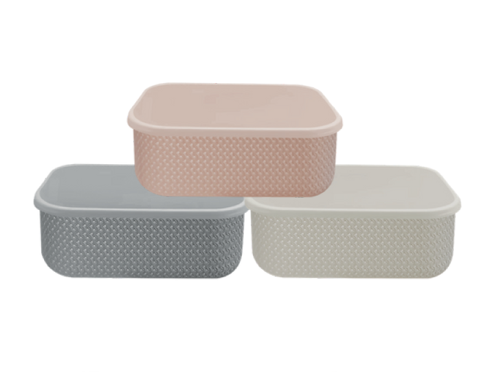 CAIXA ORGANIZADORA 25.5CM ORG060