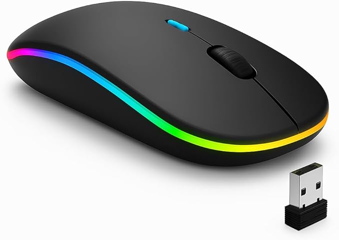 MOUSE SEM FIO 10M LEY-181
